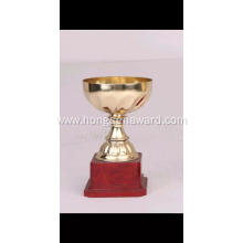 Metal trophy